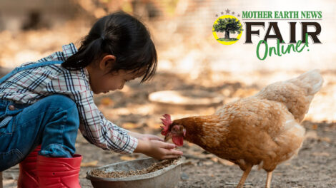 Rasing Chickens with Kids Course